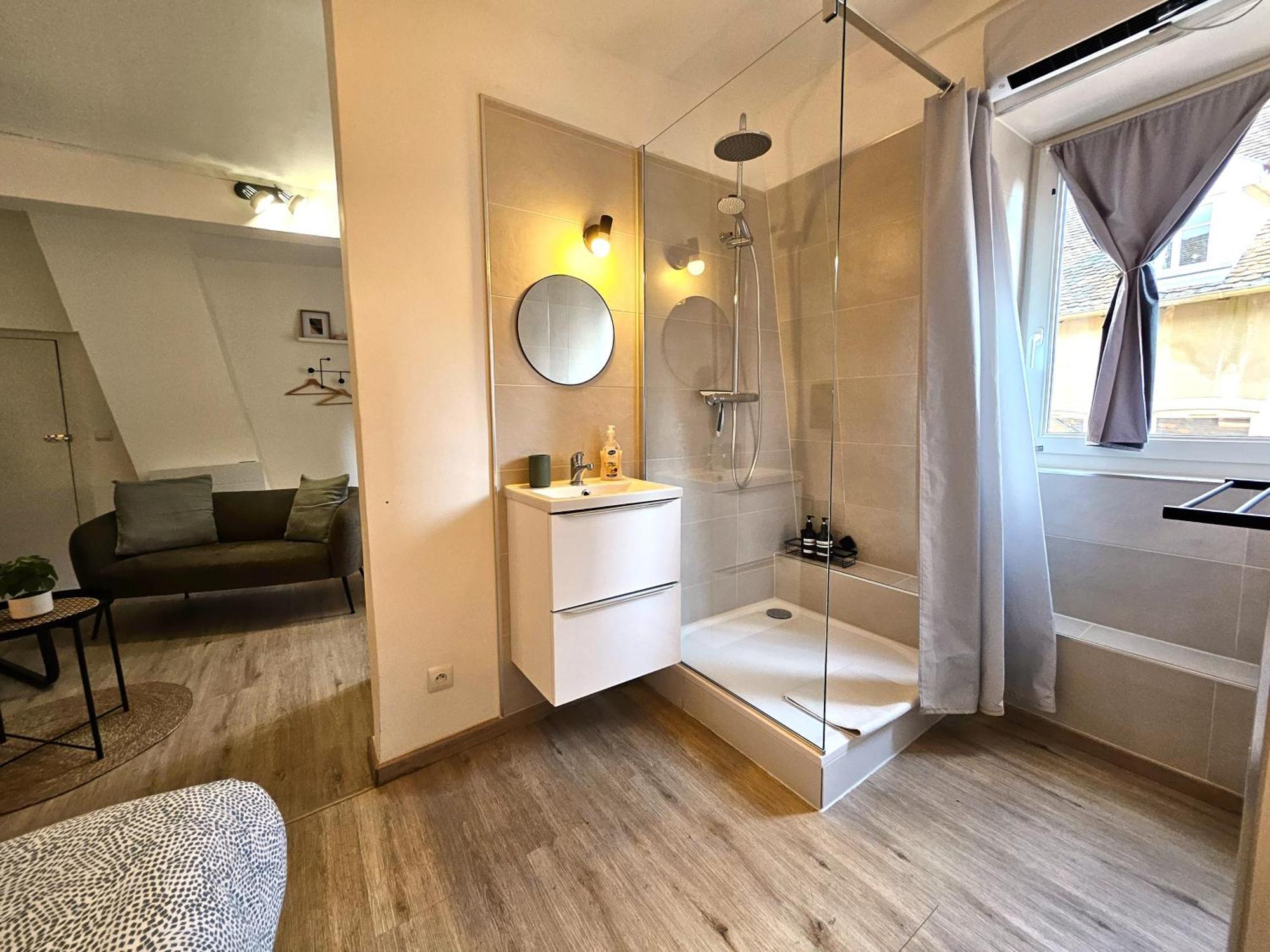 Studio- Hyper Centre Ville Colmar Extérieur photo